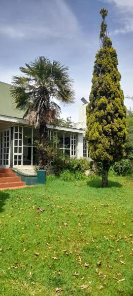 The Dutch House